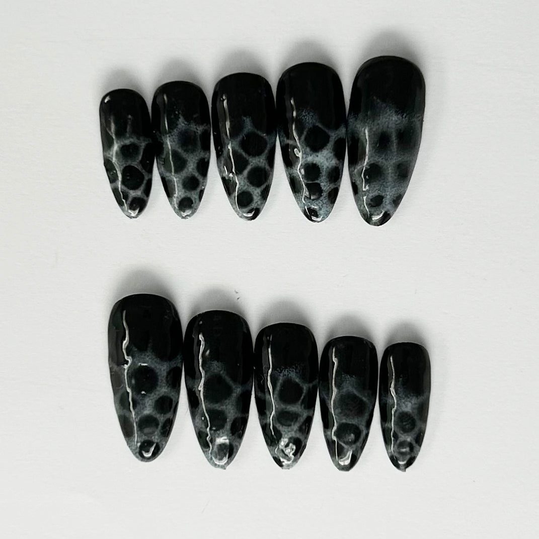 Colección Coral