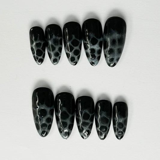 Colección Coral
