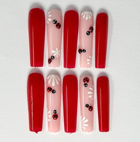 Colección Encanto Rojo