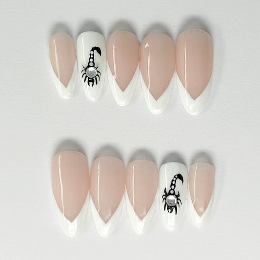 Colección Scorpio